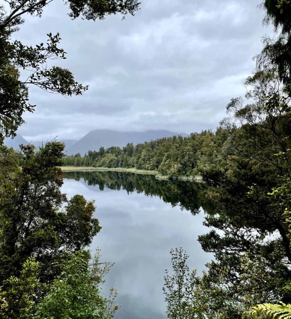 A picturesque lake reflecting a line of pine trees perfectly with a moody grey cloudy sky framed by the leaves of some beautiful trees.