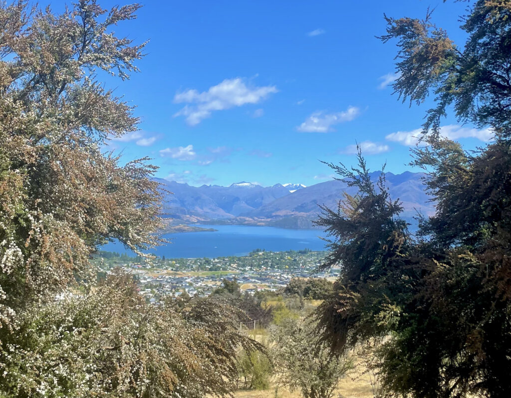 two trees framing a natural scene with bright blue skies. Inbetween the two trees is a mountain ridge like and a huge bright blue Lake Wānaka.