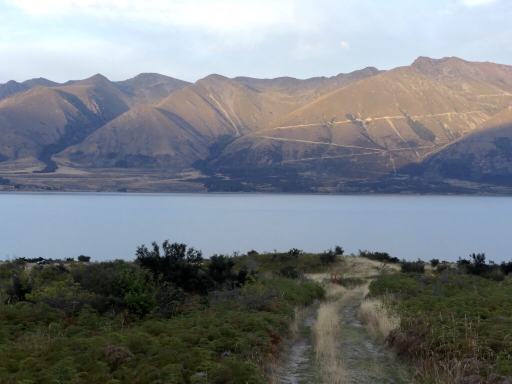 a track carved out in the grass with a bright blue lake Ohau and sunlight mountain peaks in the background