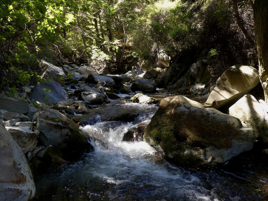 water flowing through some large rocks at the greta stream track surrounded by native green plants