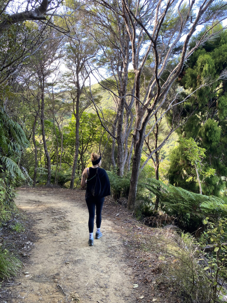 Jess walking along the Queen Charlotte Track in the Marlborough Sounds, New Zealand.